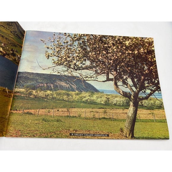 Vintage 1950s Nova Scotia Camera Tour Souvenir Booklet 12" x 9" Canada - Picture 5 of 9